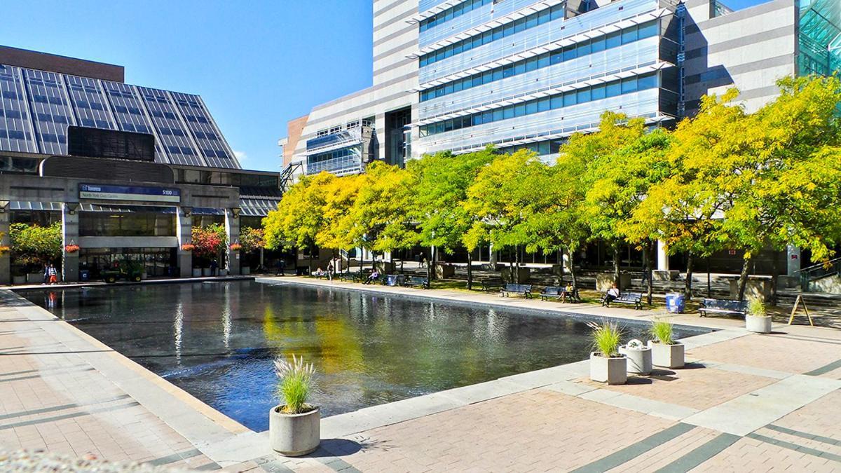 Beautiful Room At Yonge And Sheppard And North York Centre Торонто Екстериор снимка
